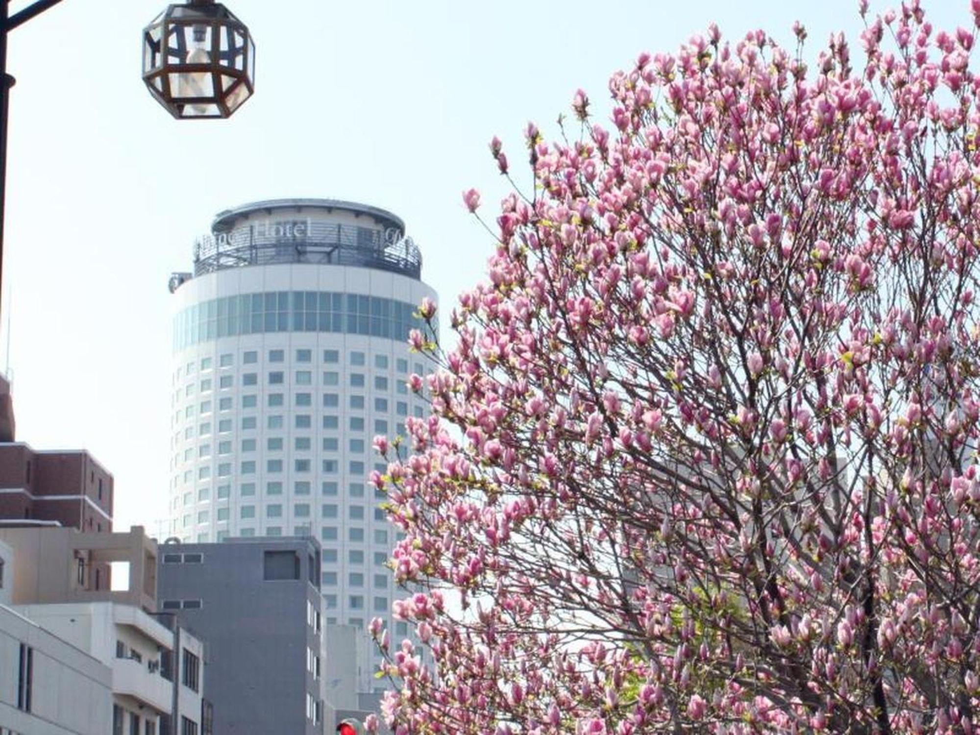 Sapporo Prince Hotel المظهر الخارجي الصورة